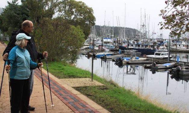 Sitka strolls to another bronze in national walk-friendly program