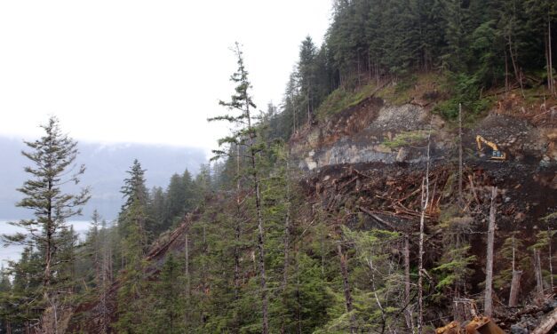 One transported to hospital after crash on newly-opened road