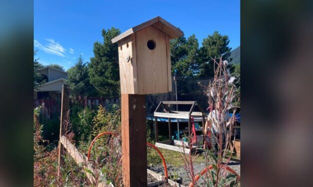 Sitka (almost) tops state for short-term rentals, but long-term vacancies are high, too