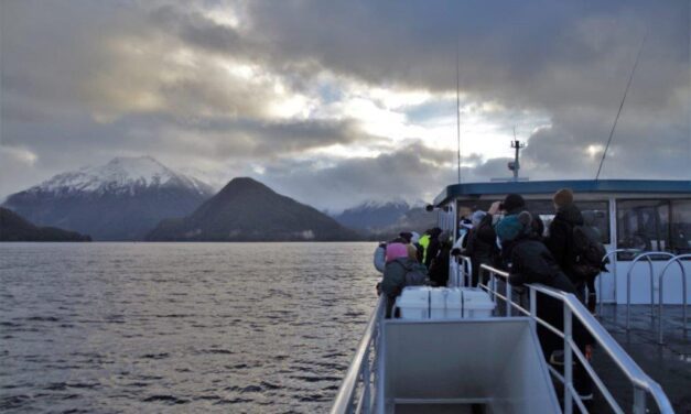 This year’s Sitka WhaleFest centers on courting, babies and growth