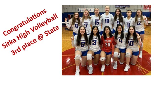 Sentinel Sports: Swimming, Volleyball perform well at state meets, as Wrestling season opens