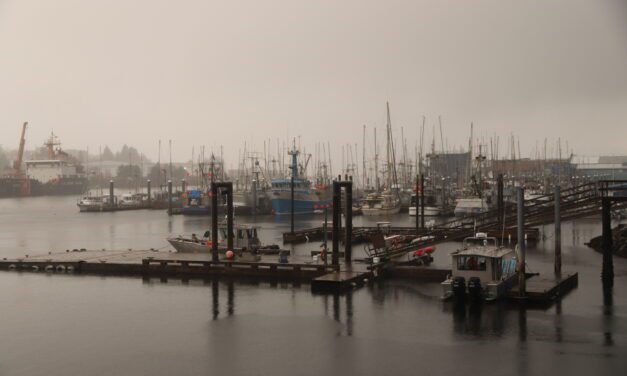 Thanksgiving storm brings high winds to Southeast