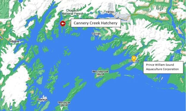 Salmon hatchery operator agrees to pay $1 million for environmental violations