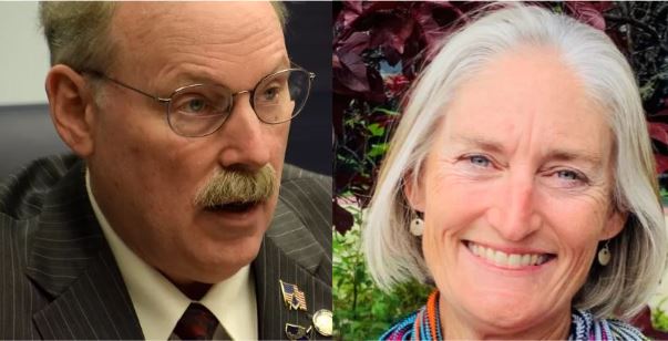As absentee/early votes come in, Stedman and Himschoot likely to claim seats in the next legislature
