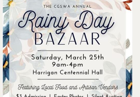 Rainy Day Bazaar to host 67 vendors on March 25