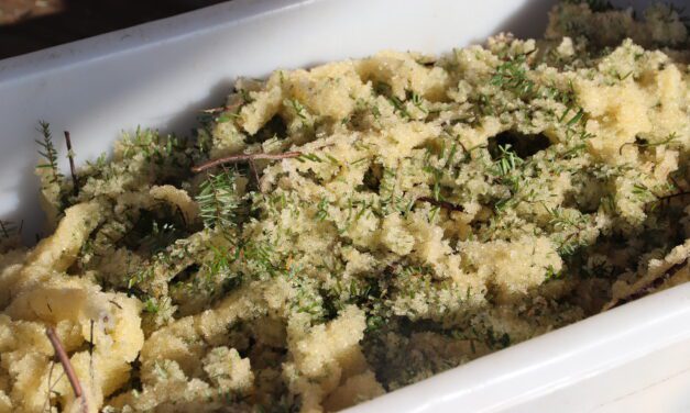 A millennia-old subsistence fishery replenishes the spirit, and the freezer