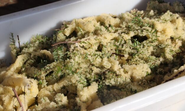 Board of Fish rejects proposal to close Promisla Bay to commercial fishing