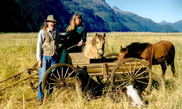 ‘The Squirrel and Bear’ exhibit wraps up on Friday