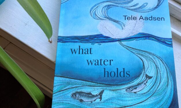 Aadsen’s ‘What Water Holds’ a celebration of the marine ecosystem that makes salmon fishing possible