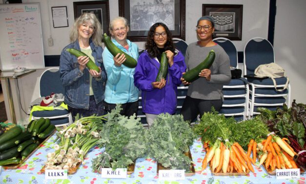 Kale yes! Farmers market slated to start July 1