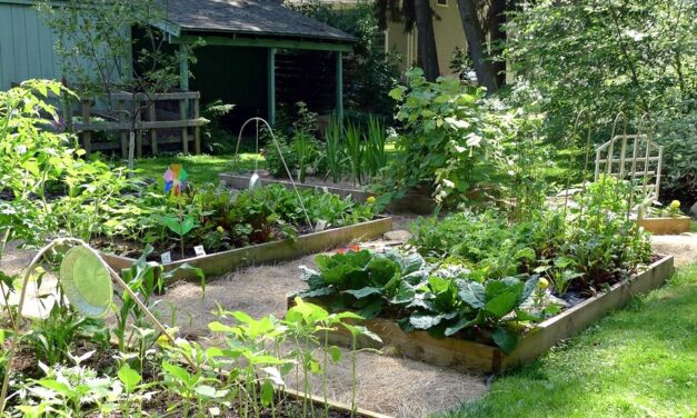 Community Garden proposal will advance to assembly table