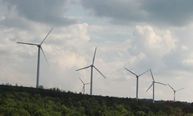 Sitka scores ETIPP support to develop renewable energy strategy