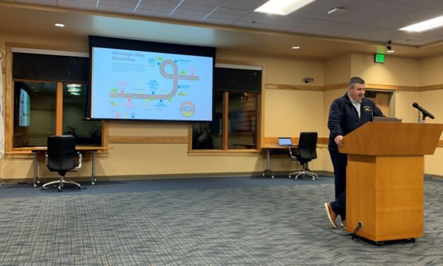 City seeks community feedback on strategic plan progress