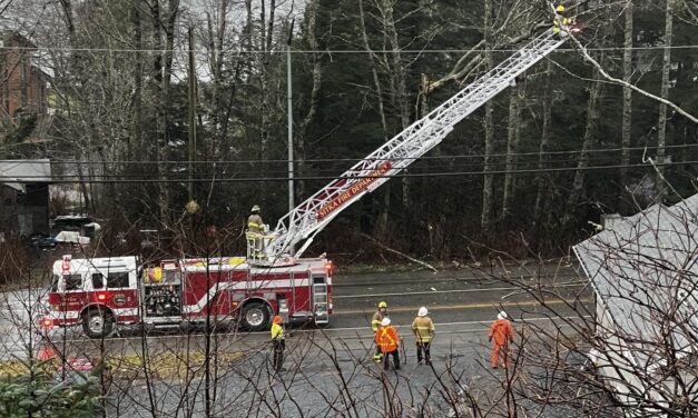 High winds topple trees, block traffic