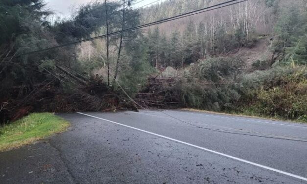 Regional working group seeks to set up a landslide warning system in Southeast Alaska