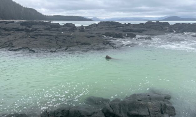 Commercial herring fishery opens for a third time on Monday