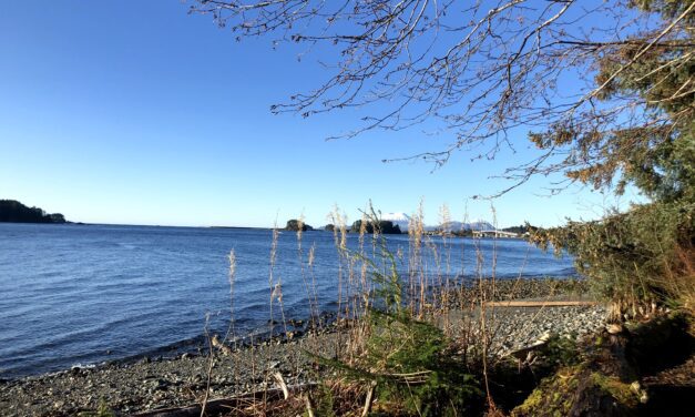 Poetry workshops draw inspiration from Sitka’s national park