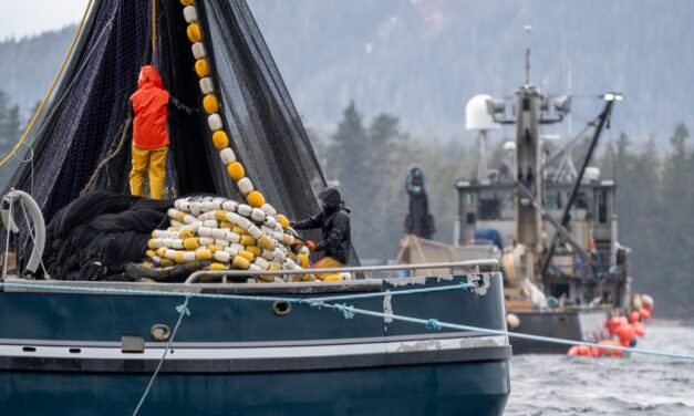 Sitka AC reviews over a dozen herring proposals ahead of Board of Fish meeting