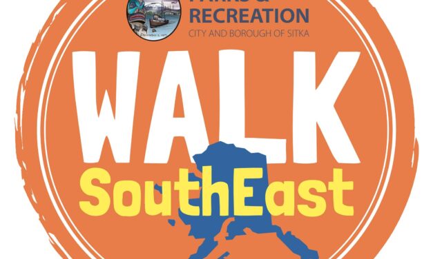 Parks and rec launches summer programming