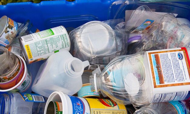 New recycling rules mean less sorting, more savings