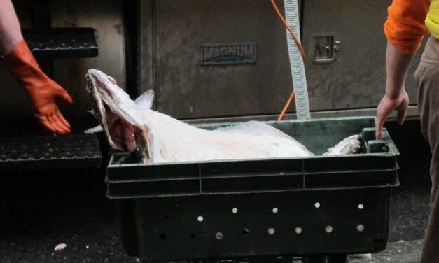 Assembly backs policy to limit halibut bycatch in Bering Sea