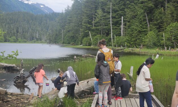 Sounds and sights from Wild Edibles Camp
