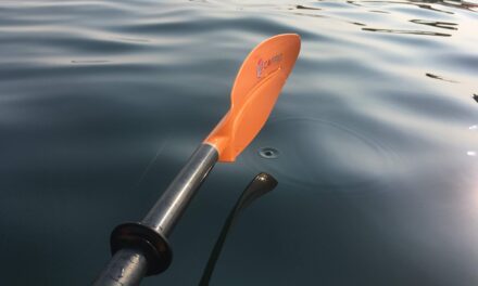 Kayaker rescued after capsizing at Blue Lake