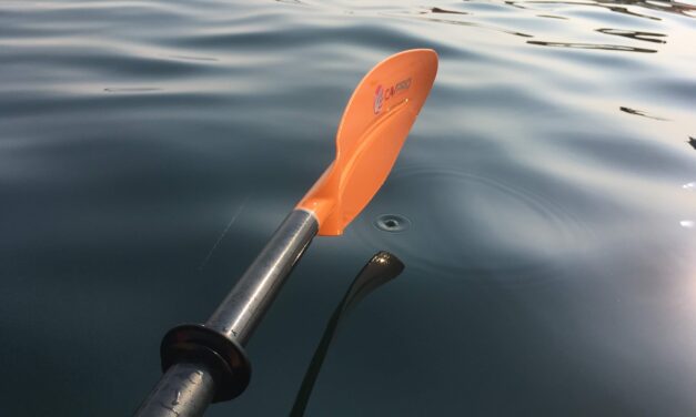 Kayaker rescued after capsizing at Blue Lake