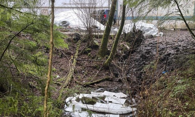 Fuel leak in Sitka prompts fast response