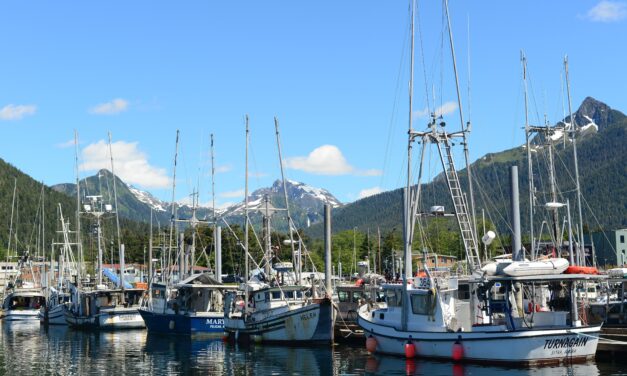 July king fishery exceeds state’s target, leaving few fish for August opener