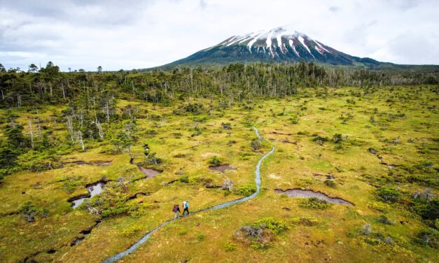 Sitka Trail Works wins national honor for volunteer leadership