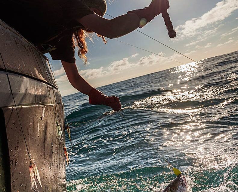 Skipper Science app encourages collaboration between fishermen and researchers