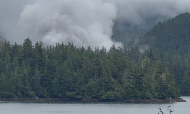 Boat deemed ‘total loss’ in fire at Birdsnest Bay