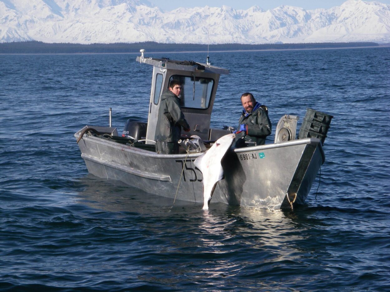 The current image has no alternative text. The file name is: Skiff-halibut-scaled.jpg