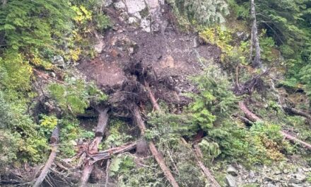 Residents assess damage the day after landslides and high winds hit Elfin Cove