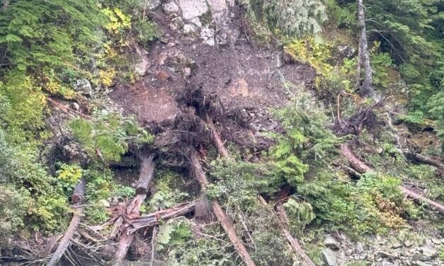 Residents assess damage the day after landslides and high winds hit Elfin Cove