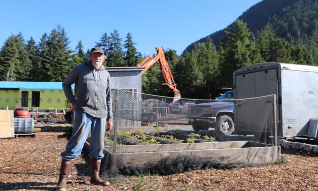 Sitka community gardens plant the seeds for food independence