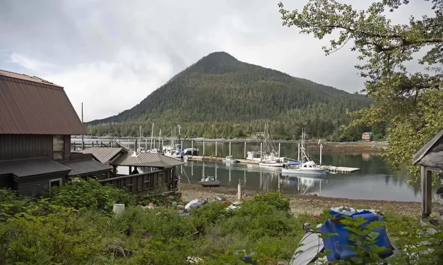 2025 listening community elections: Unofficial results