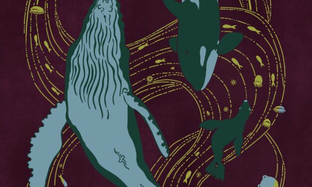 Sitka Whalefest aims to reveal how intimately everything and everyone is bound together
