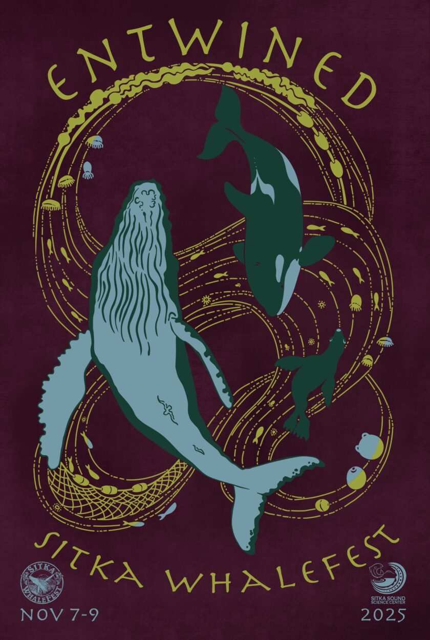 The current image has no alternative text. The file name is: Sitka-Whalefest-2025-scaled.jpg