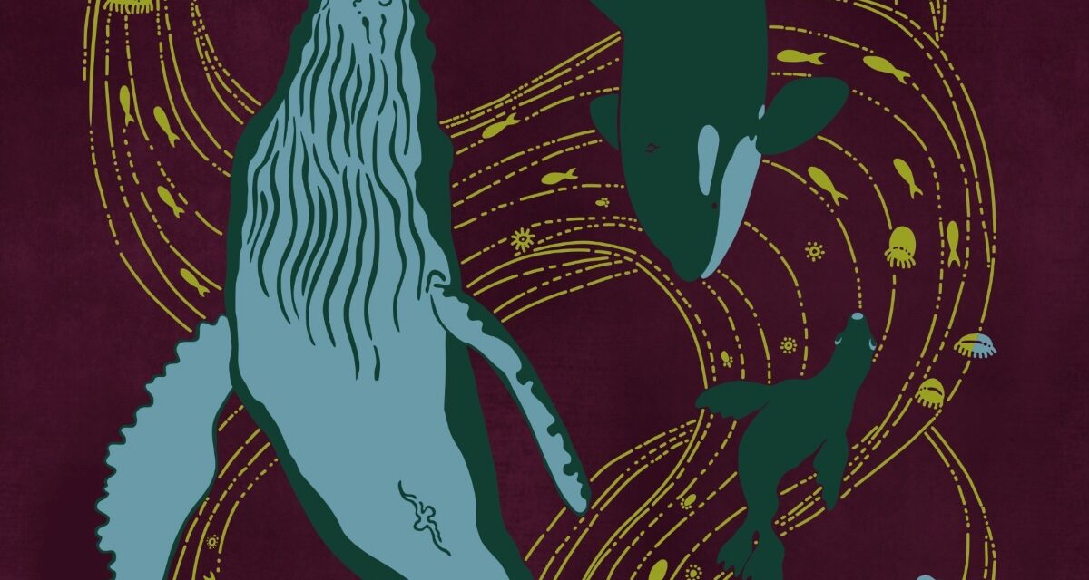 Whalefest emphasizes how storytelling and knowledge are Entwined