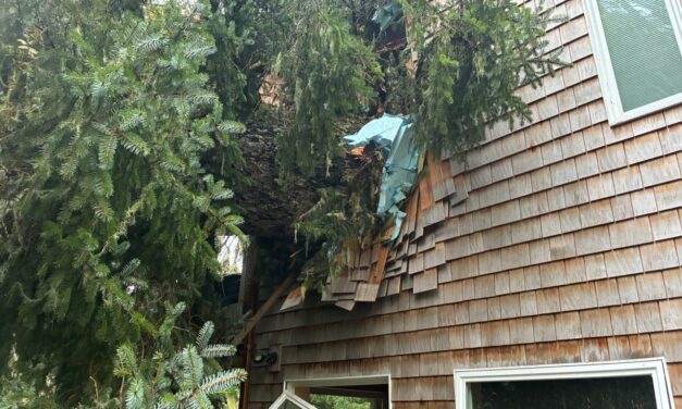 ‘Bobbing lights of hope’: Neighbors offer support following destruction of Sitka home