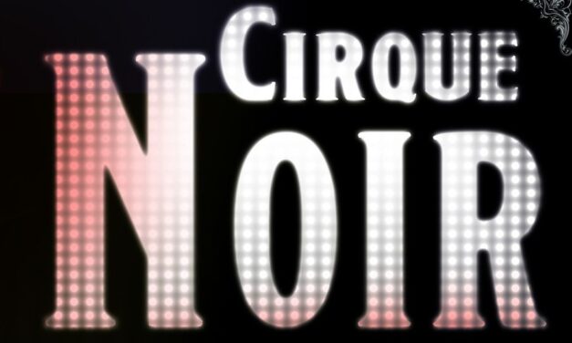 ‘Finding light in the dark’: Sitka Cirque hosts immersive adult dance party this weekend