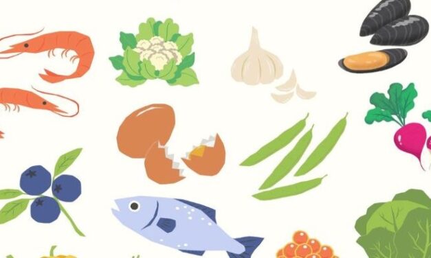 Sitka Food Coalition hosts community dinner