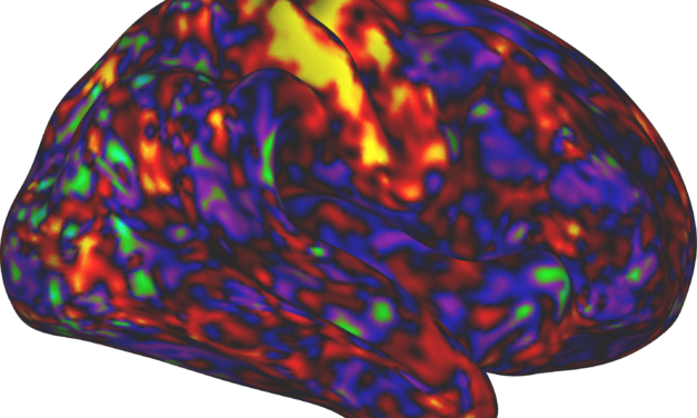 ADHD drugs may work indirectly to boost attention