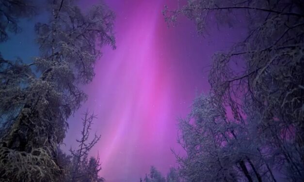 Winter tourism has grown in Alaska, but economic concerns caused a recent dip