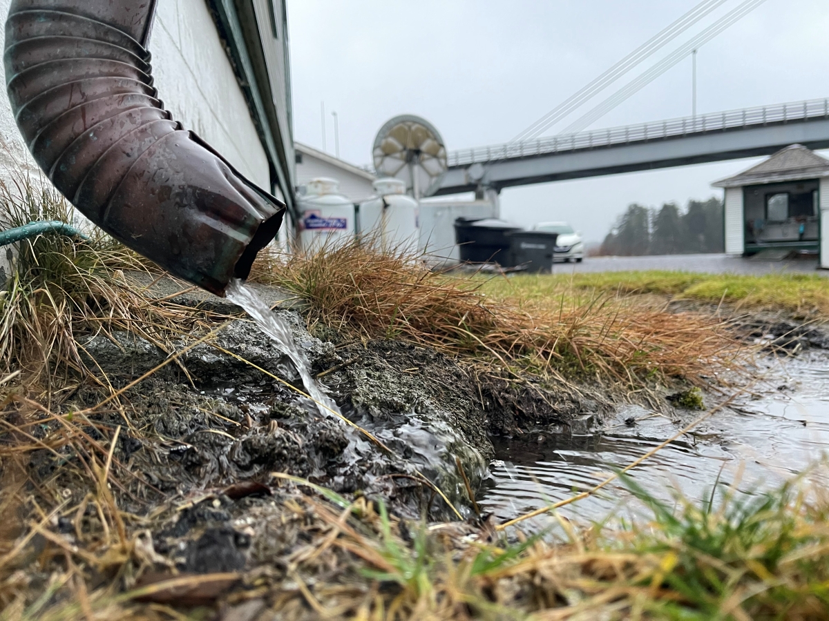 Flood watch for Sitka, Southeast extended through Monday morning