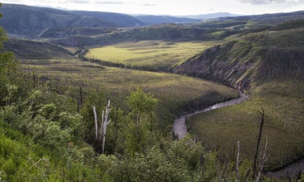 Federal government concedes ownership of Fortymile River to the state