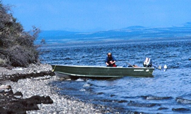 Adventures of an Alaska Woman Biologist | Outdoor Explorer