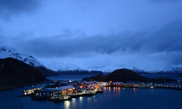 Alaska pollock processors drop foreign worker program, citing uncertainty